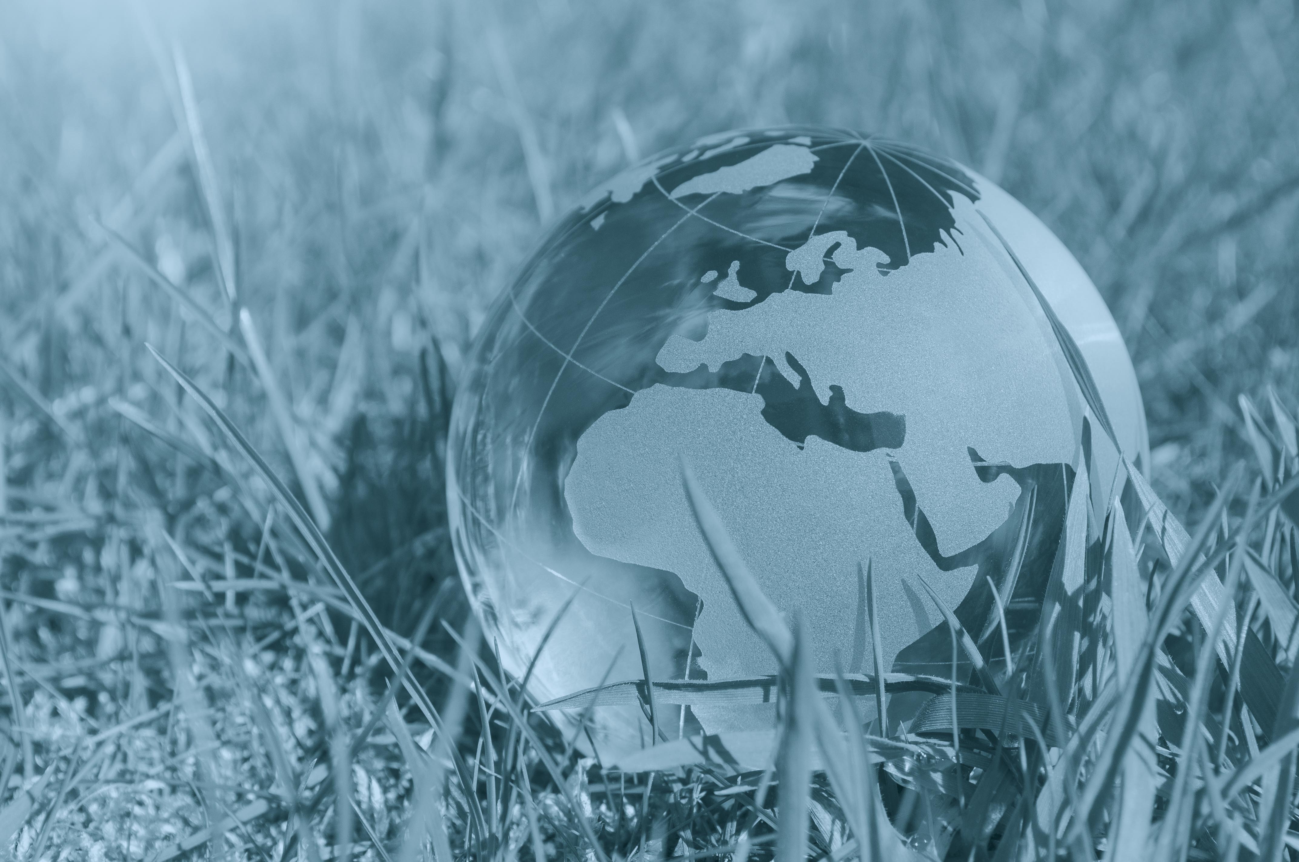 Vergößerung öffnen 