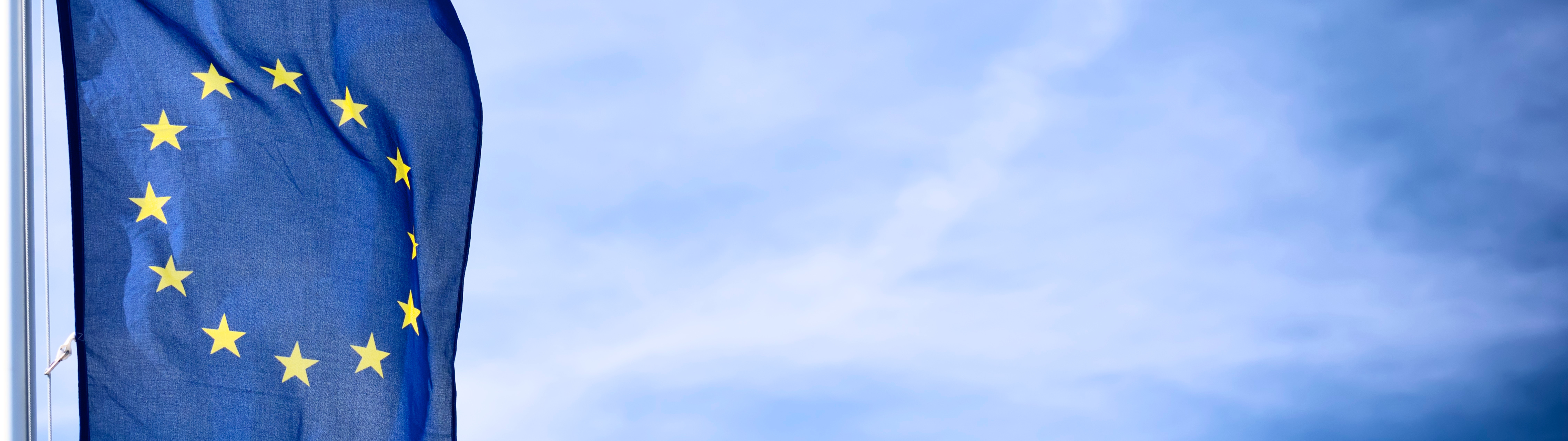 Vergößerung öffnen 