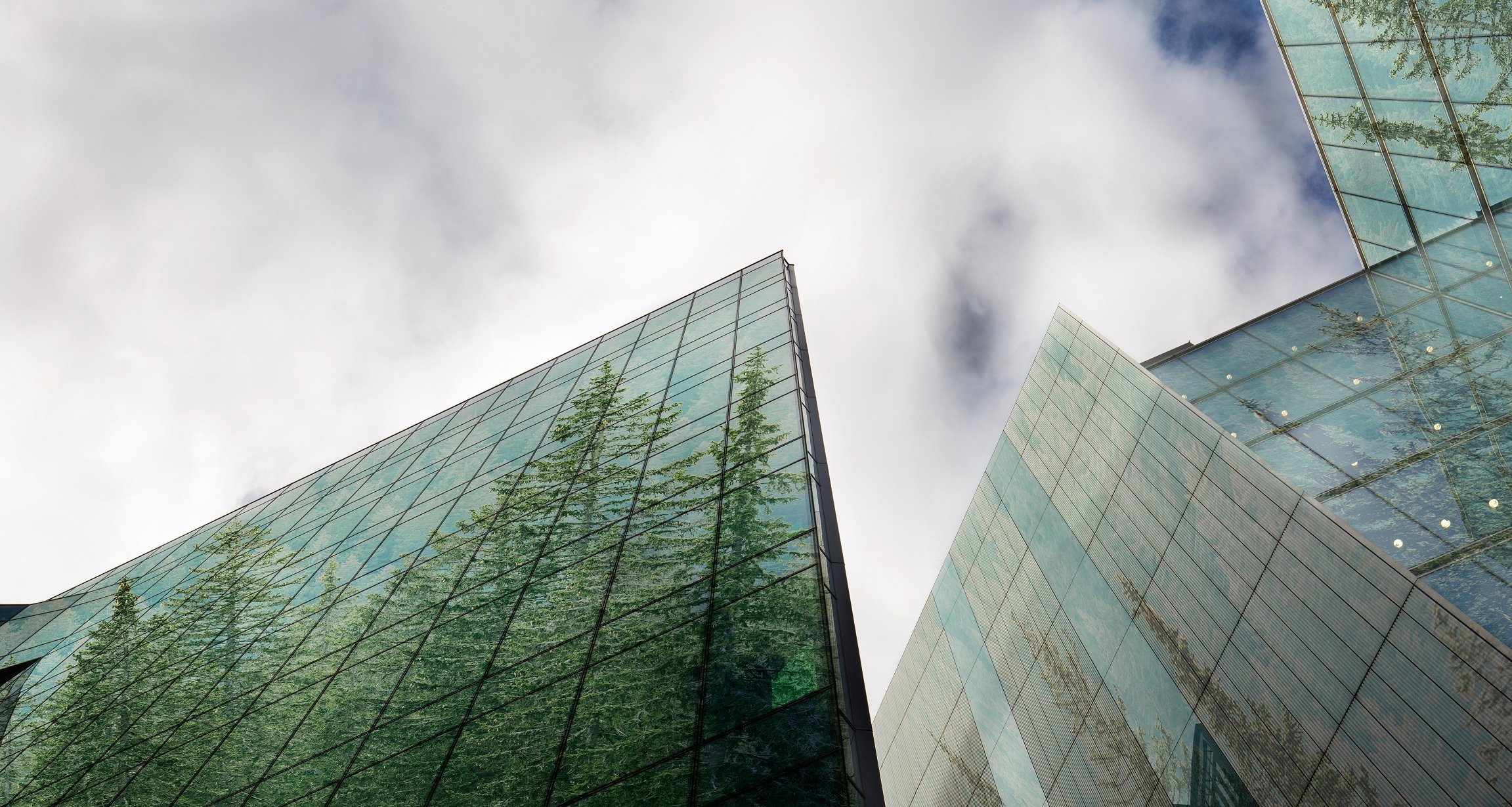 Vergößerung öffnen 