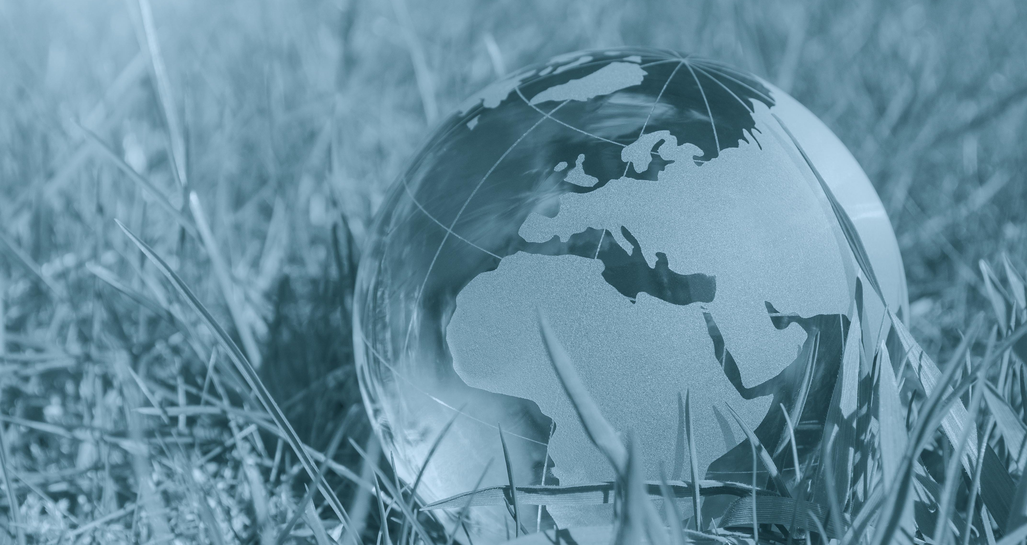 Vergößerung öffnen 